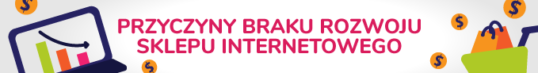 przyczyny-braku-rozwoju-sklepu-internetowego